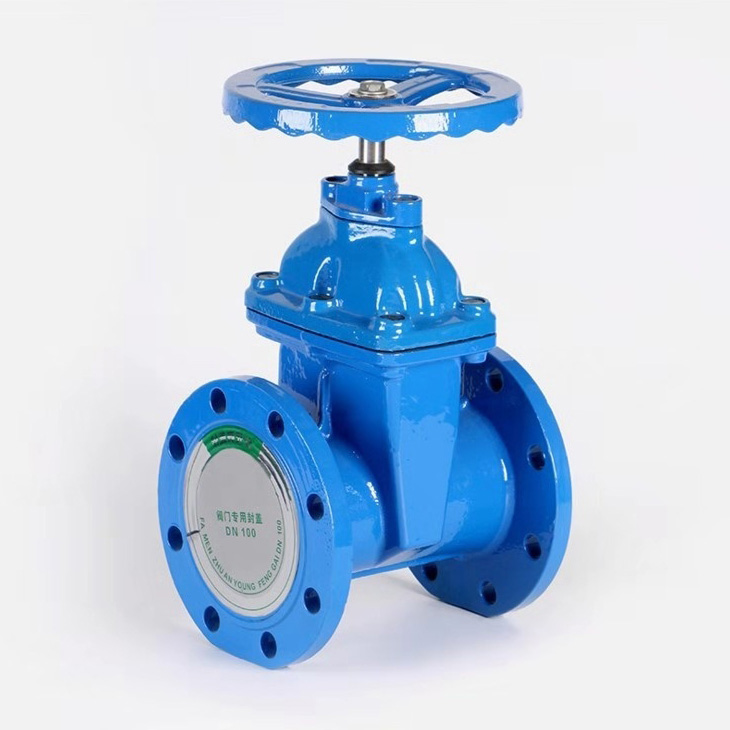 D71X-10/17 Hand Wheel Resilient Seated Cast Iron Flanged Gate Valve