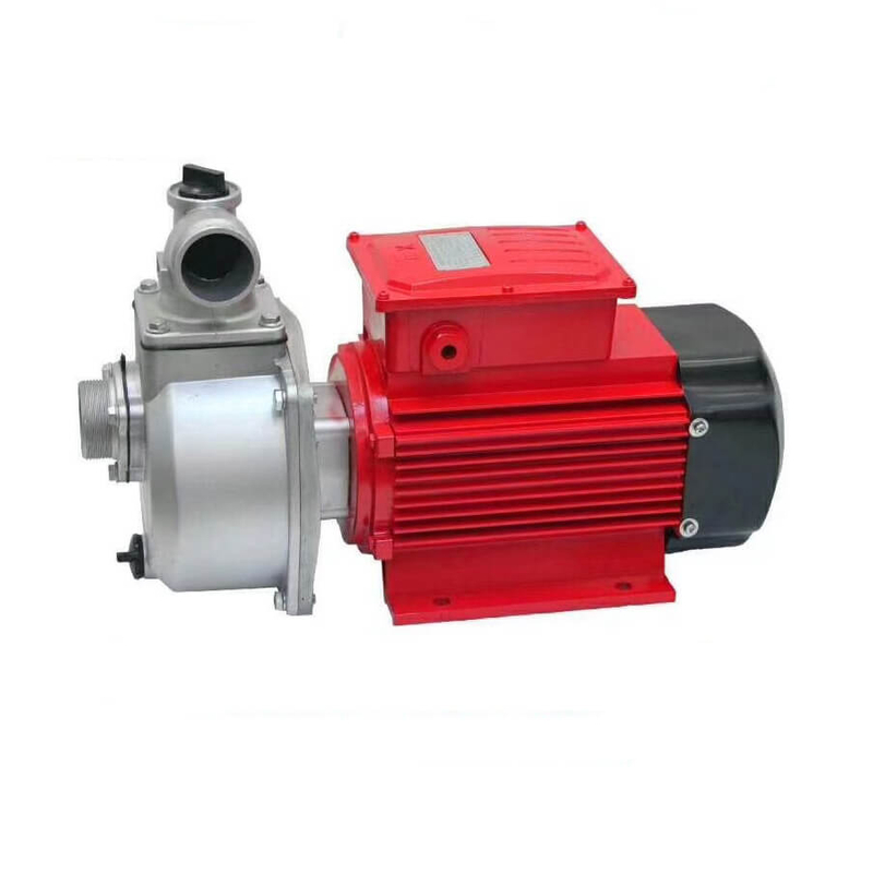Explosion-proof Oil & Water Workable High Pressure Pump-GY174